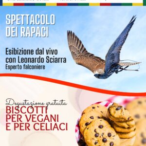 Doppio appuntamento a #PiazzaMarcantoni! 💯